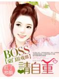 豪门游戏ⅲ:boss,请自重